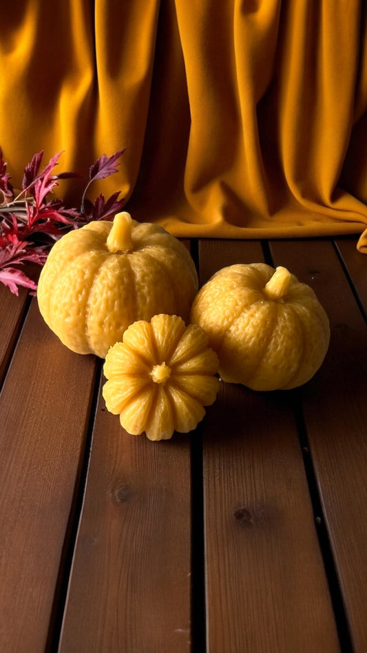 Beeswax Pumpkins - Set of 3