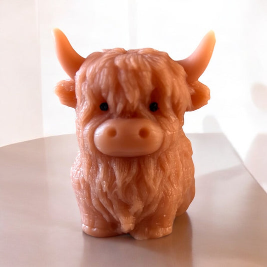 Henry the Highland Cow